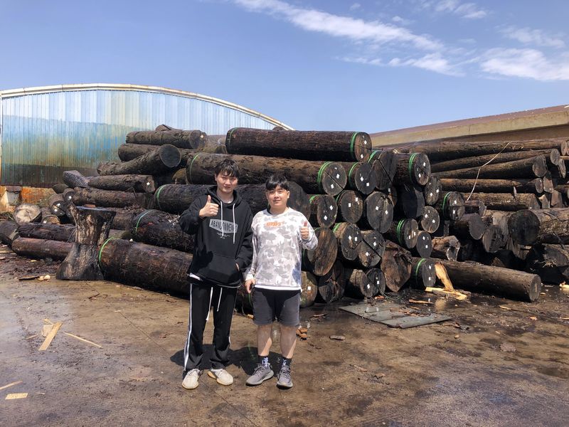 Dongguan Lingfeng Wood Industry Co., Ltd. निर्माता उत्पादन लाइन