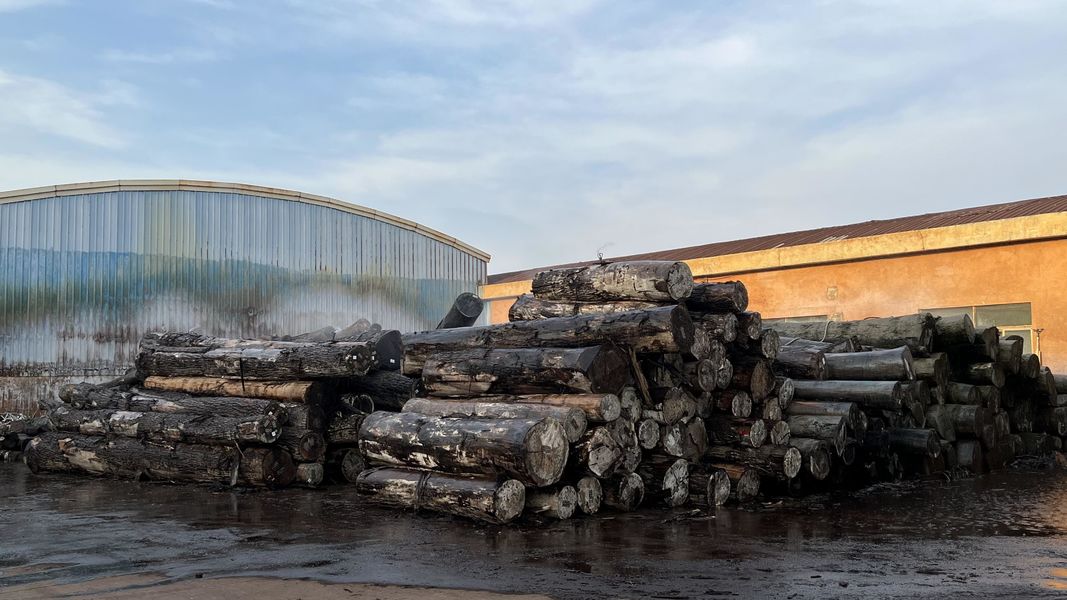 Dongguan Lingfeng Wood Industry Co., Ltd. निर्माता उत्पादन लाइन